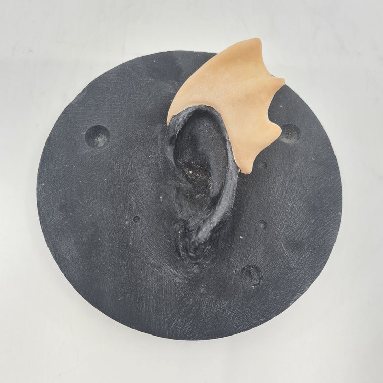 SIREN SMALL EARTIPS SIREN SMALL EARTIPS