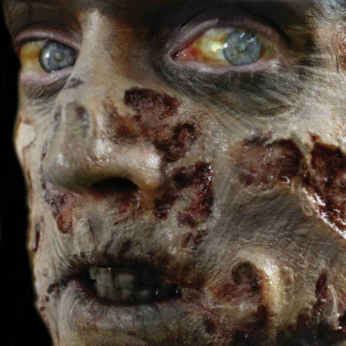 Zombie Rot 3D FX Transfers Zombie Rot 3D FX Transfers