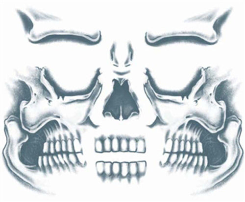 Temporary Tattoos- Skull Face
